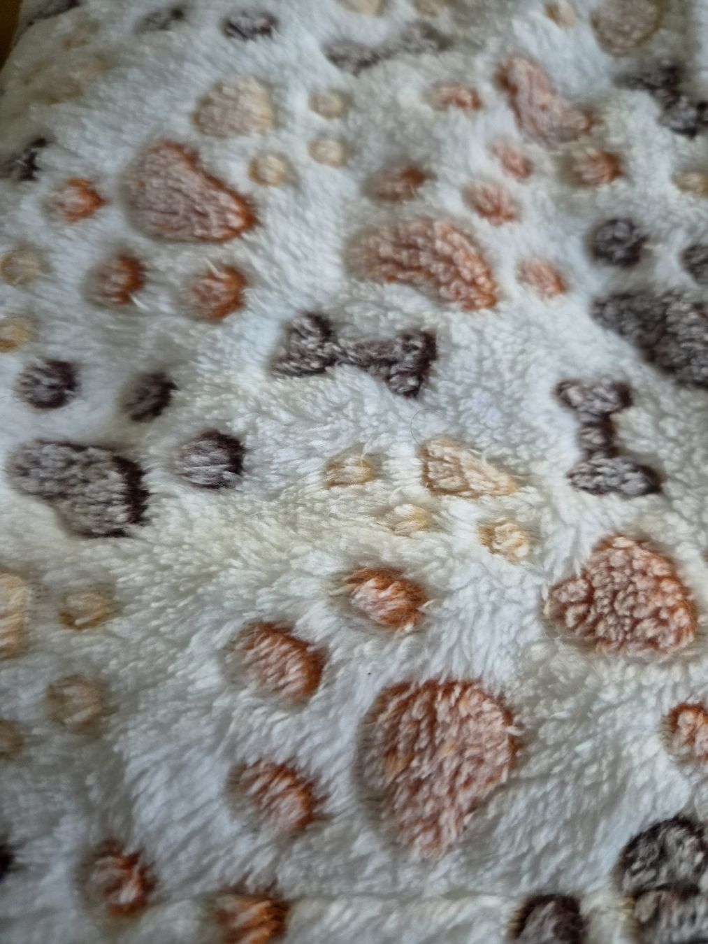 Trixie Decken: TRIXIE / Hundedecke / Polyester / 75 x 50 – Neu (gemäss Beschreibung) aus Lömmenschwil von S4BR1N4