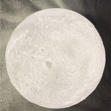 Profile image of Miss.Luna.