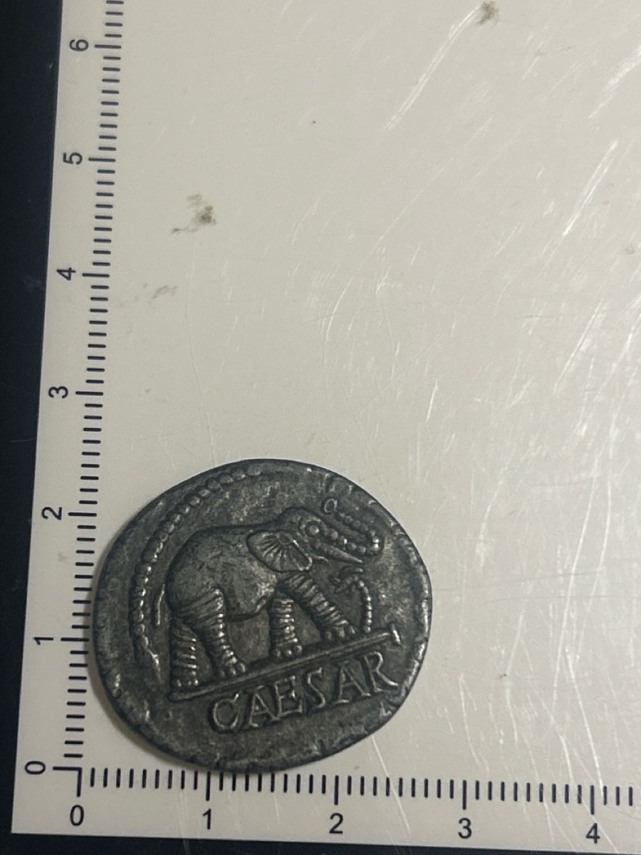 Medaglie: Römische Caesar Elefant mit Inschrift Antik Deko(S19) – Usato da Neuenhof venduto da bro_9zsg 2