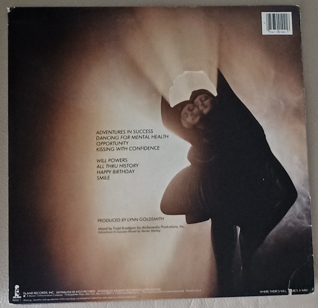 Dischi in vinile: WILL POWERS / Electr. POP  Synth Pop 1983 Island Records – Usato da Hägendorf venduto da Plattenhardt 1