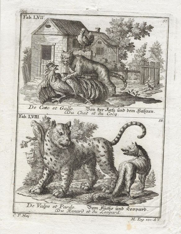 Martin Engelbrecht Radierung Fabeltiere um 1740 (Gebraucht) in