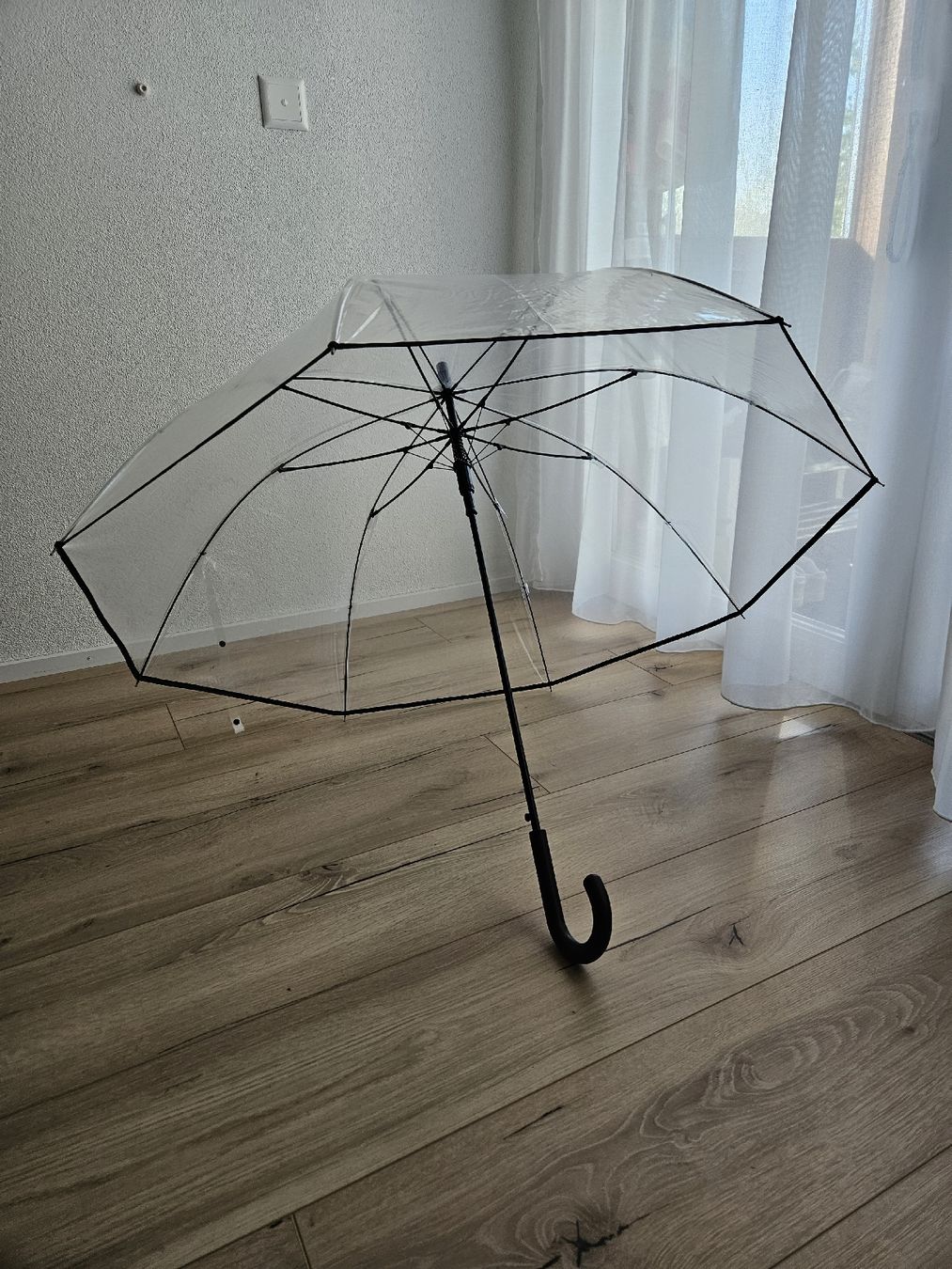Regenschirme: 2 grosse, transparente Regenschirme – Neu (gemäss Beschreibung) aus Hermetschwil-Staffeln von Tamara1008