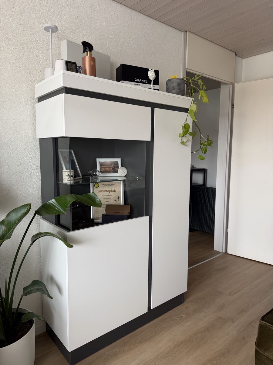 Vetrine: Vitrine weiss/anthrazit Glas LED Softclose NP 295€ – Usato da Thayngen venduto da Fxbienne 1