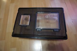 Transport oder Aufzuchtbox für Reptilien