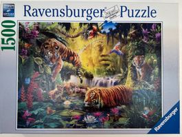 Ravensburger Puzzle. Tiger im Wald. 1500Teile