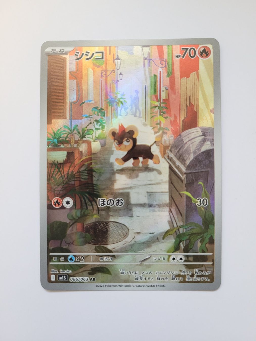 Pokémon Carte collezionabili: Pokemon TCG Litleo m1S 066/063 AR JP – Usato da Münchenstein venduto da new_akiba_store