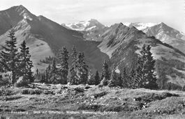 Hornberg BE Panorama Gifferhorn Wildhorn Wasserngrat Spitzho