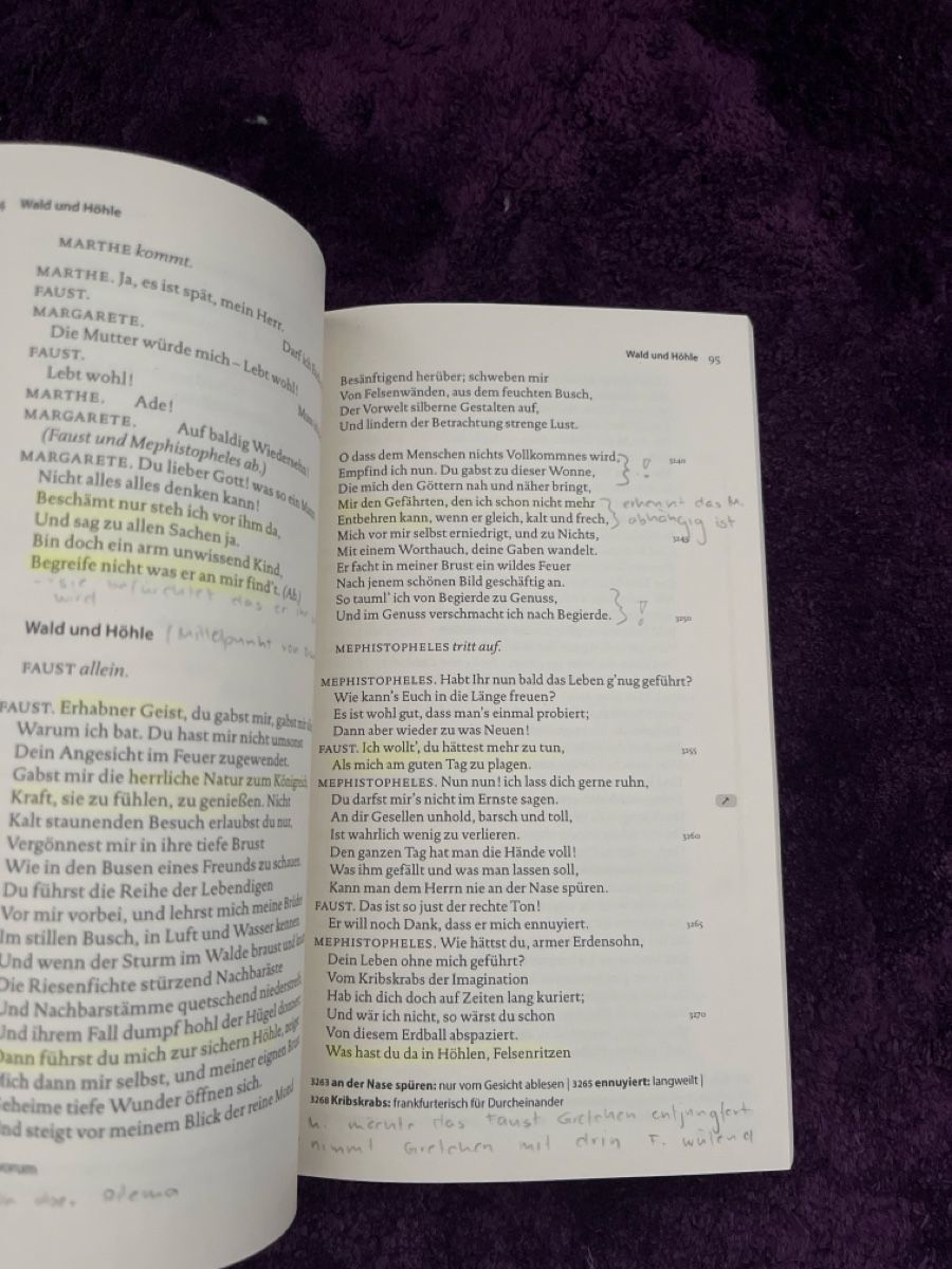 Libri: Faust l von Johann Wolfgang Goethe – Usato da Seuzach venduto da i_22 2