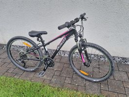 Ab Service Kindervelo 24 Zoll Specialized Hotrock