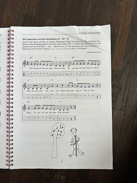Libri: Lehrmittel ukulele.ch – Usato da Hasle b. Burgdorf venduto da rema78 2