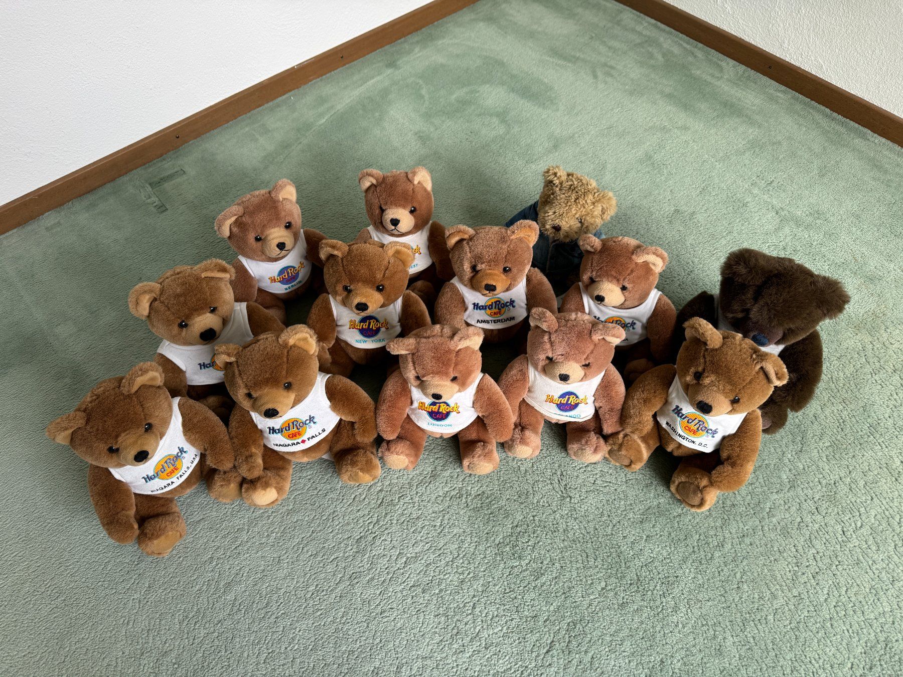 Giocattoli: 13 Hard Rock Café Collectible Bear - Diverse Städte – Usato da Zürich venduto da Phillan 1