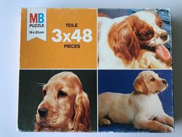 Puzzle Hunde 3x48 Teile
