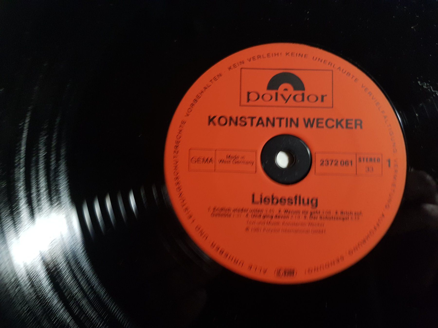 Dischi in vinile: LP: Konstantin Wecker - Liebesflug - 1981 – Usato da Walterswil BE venduto da Lonitti 1