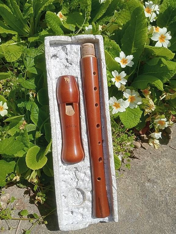 Musikinstrumente: Blockflöten Mollenhauer – Gebraucht aus Staufen von leo_d5c7 1