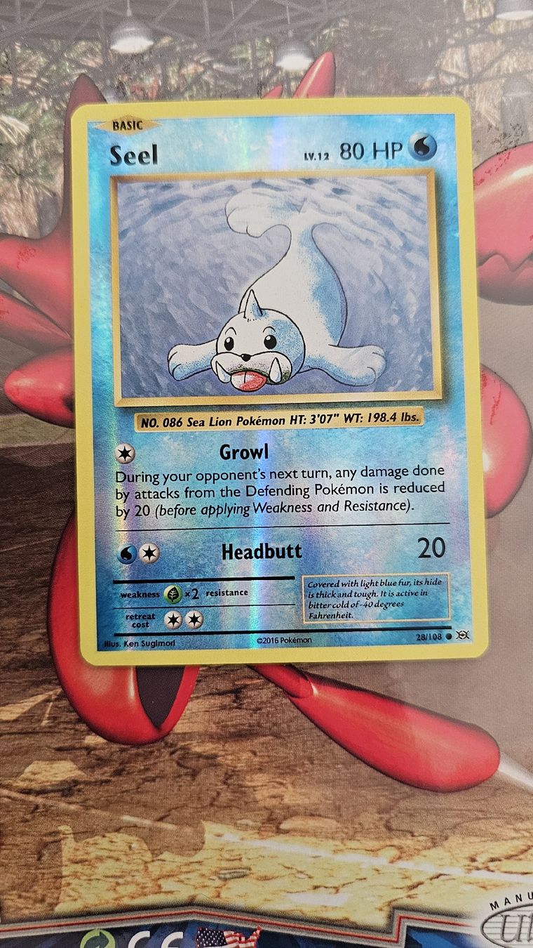 Pokémon Carte collezionabili: seel reverse Holo aus 2016 - Top Zustand – Nuovo (secondo la descrizione) da suhr venduto da m1a1