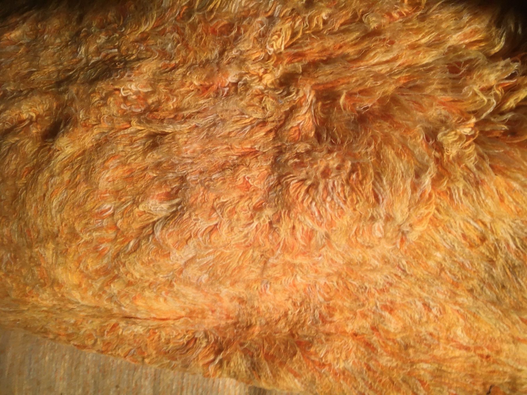 Tappeti: Vintage Teppich Schafwolle 29.00 m2! – Nuovo (secondo la descrizione) da Henggart venduto da Julio0 1