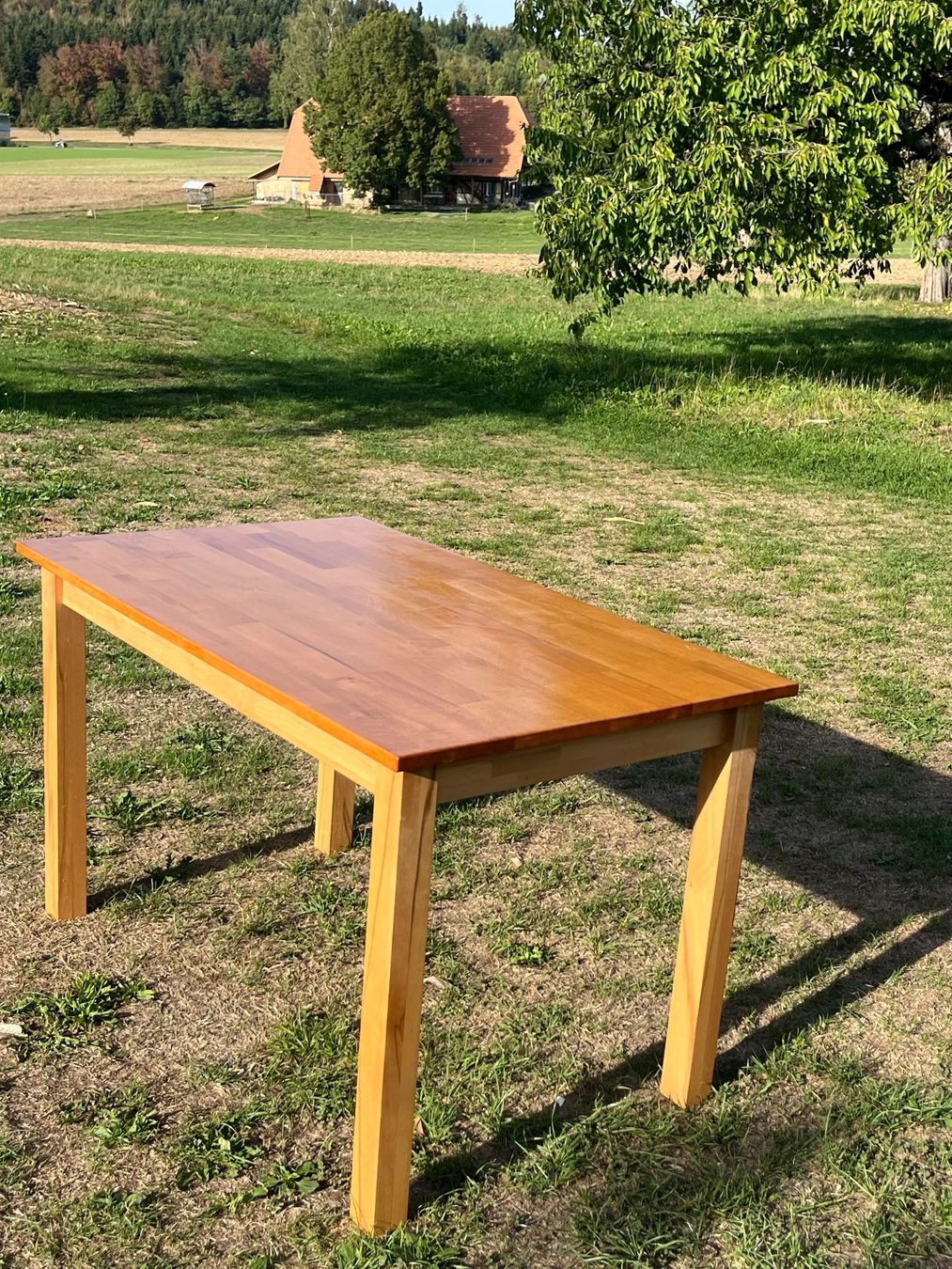 Tische: Tisch Massiv Hartholz – Gebraucht aus Allmendingen b. BE von juair 3