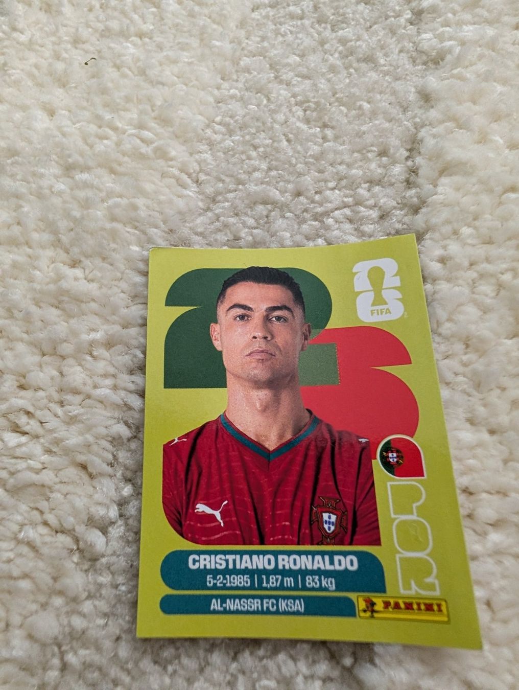 Panini Sammelbilder & Trading cards: Ronaldo Panini – Gebraucht aus Menziken von Levin1111
