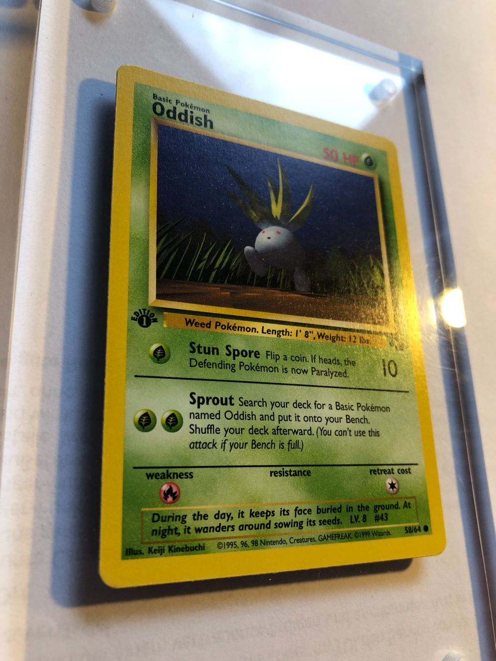 Cartes à collectionner: Oddish 1st Jungle - MINT - ab 1.- – D'occasion à Giubiasco par dan_pr8b 1