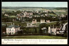 AK Schaffhausen, Ortsansicht, Fäsenstaub