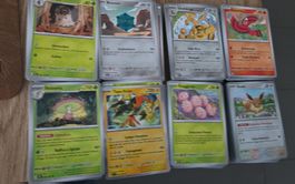Pokémon Karten Sammlung! Viele Seltene Karten dabei!