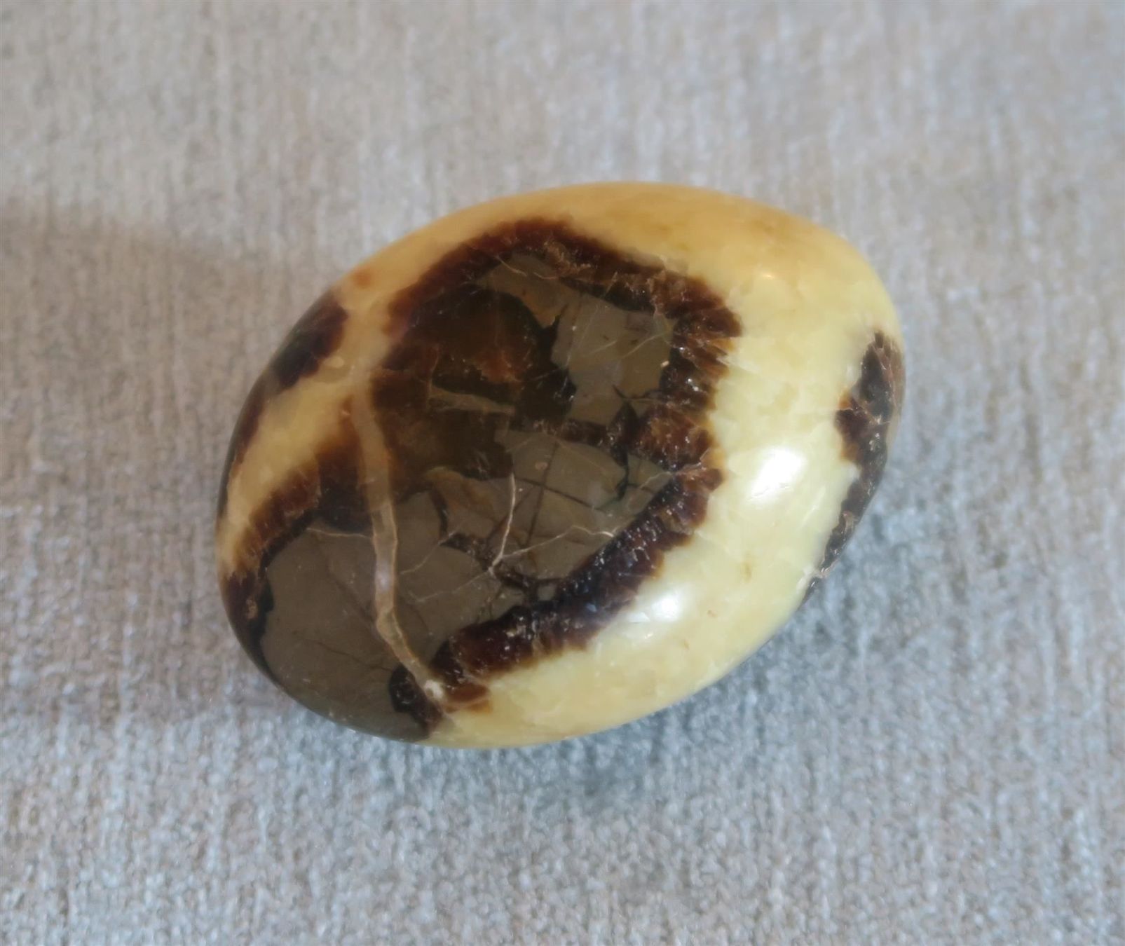 Mineralien & Heilsteine: Stein-Ei flach 67x37/50 mm Septarie – Gebraucht aus Brittnau von marlenestone