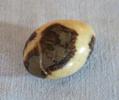 Stein-Ei flach 67x37/50 mm Septarie
