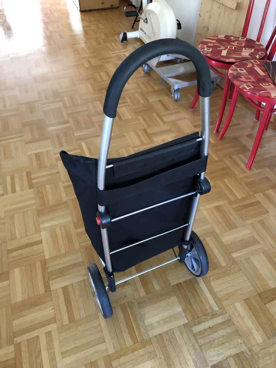 Sonstiges für Haushalt & Wohnen: Einkaufswagen – Gebraucht aus Erlen von astra2013 1