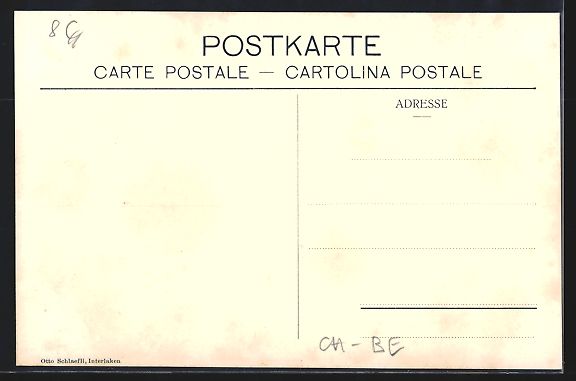 Cartoline postali: Interlaken, Partie mit Terminus Hotel Ba – Usato da Berlin venduto da bartko-reher 1