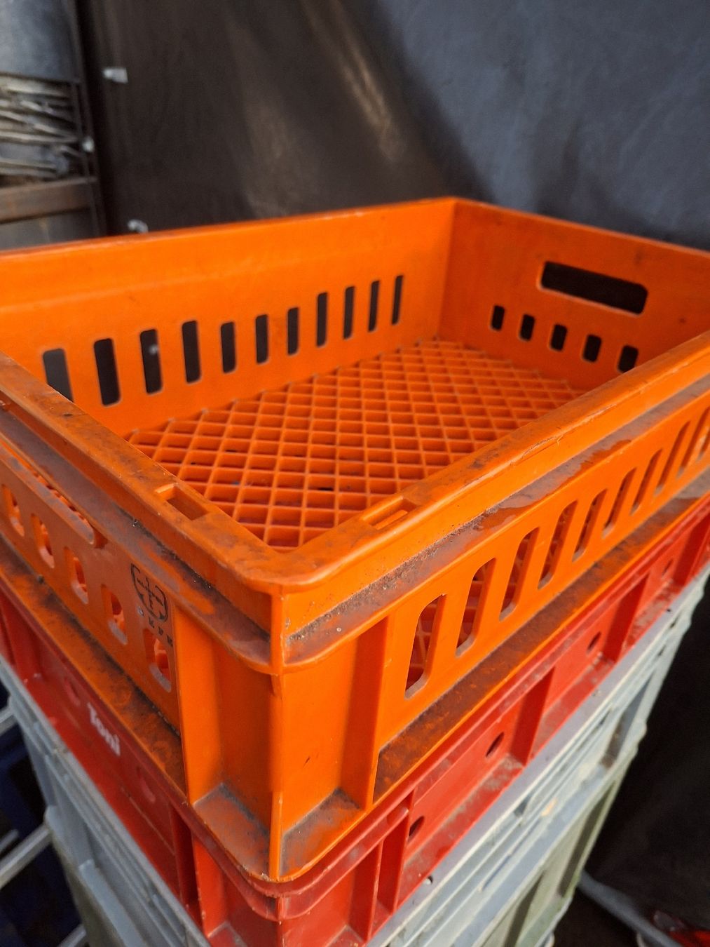 Altro: Gebrauchte Lagerboxen/Harasse, diverse Grössen, 8 Stück – Usato da Grossdietwil venduto da hufi10 3