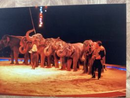 Circus Knie Foto 1991