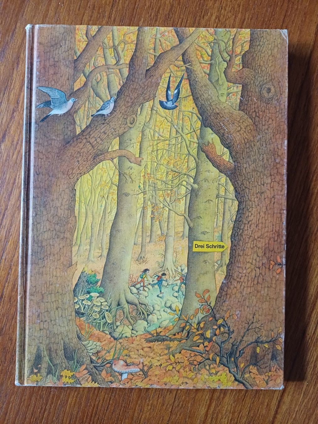Libri: älteres Lesebuch Drei Schritte – Usato da Bern venduto da Akatinka