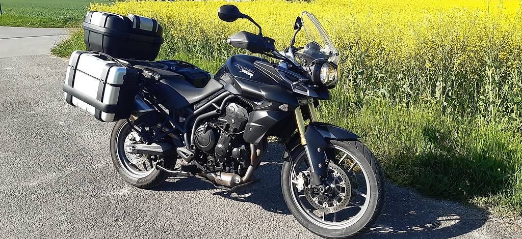 Triumph Touring: Triumph Tiger 800 ABS – Usato da Collombey venduto da sophie2008 2