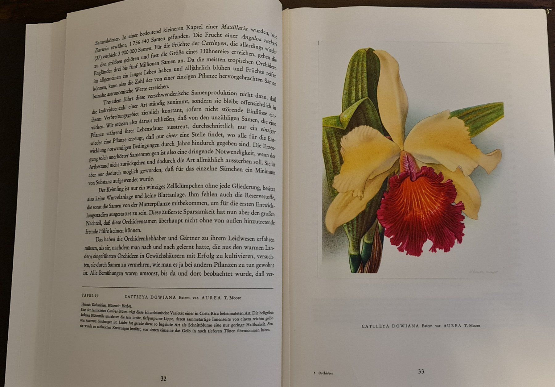 Libri: Orchideen Buch – Usato da Baden venduto da swiss-alps 4