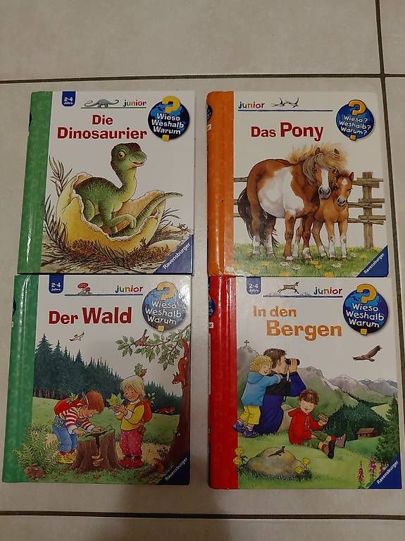 Libri: Wieso weshalb warum – Usato da Safenwil venduto da RockyFlocky