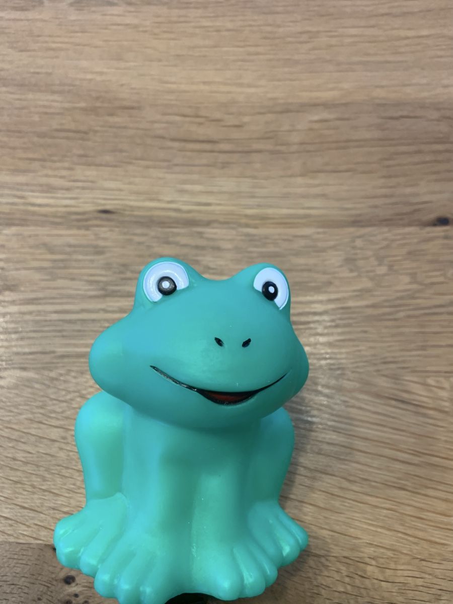 Pezzi di ricambio: Frosch Horn, grün, nie gebraucht – Nuovo (secondo la descrizione) da Wabern venduto da pet_v9dz 2