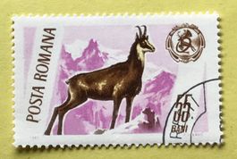 Briefmarken aus Rumänien gestempelt  Siehe Original Fotos. 