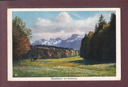 STOCKHORN - Waldwiese // Eckbug //