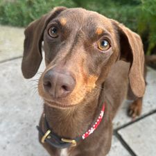Profile image of HaraldP72