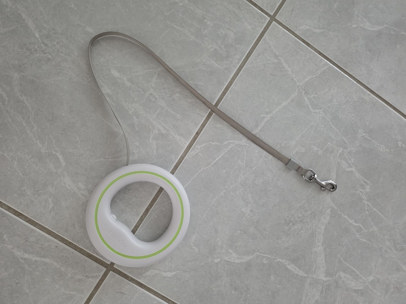 Leine & Halsband: small dog leash – Gebraucht aus Thalwil von Derekdez