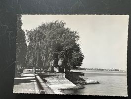 AK  1949 Horn Bodensee   (G3982)