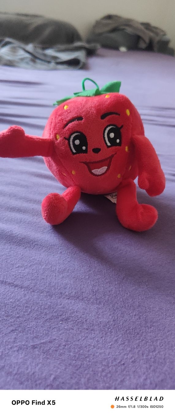 Coop Spielzeuge: Strawberry – Neu (gemäss Beschreibung) aus Unterentfelden von igs_nj72 1