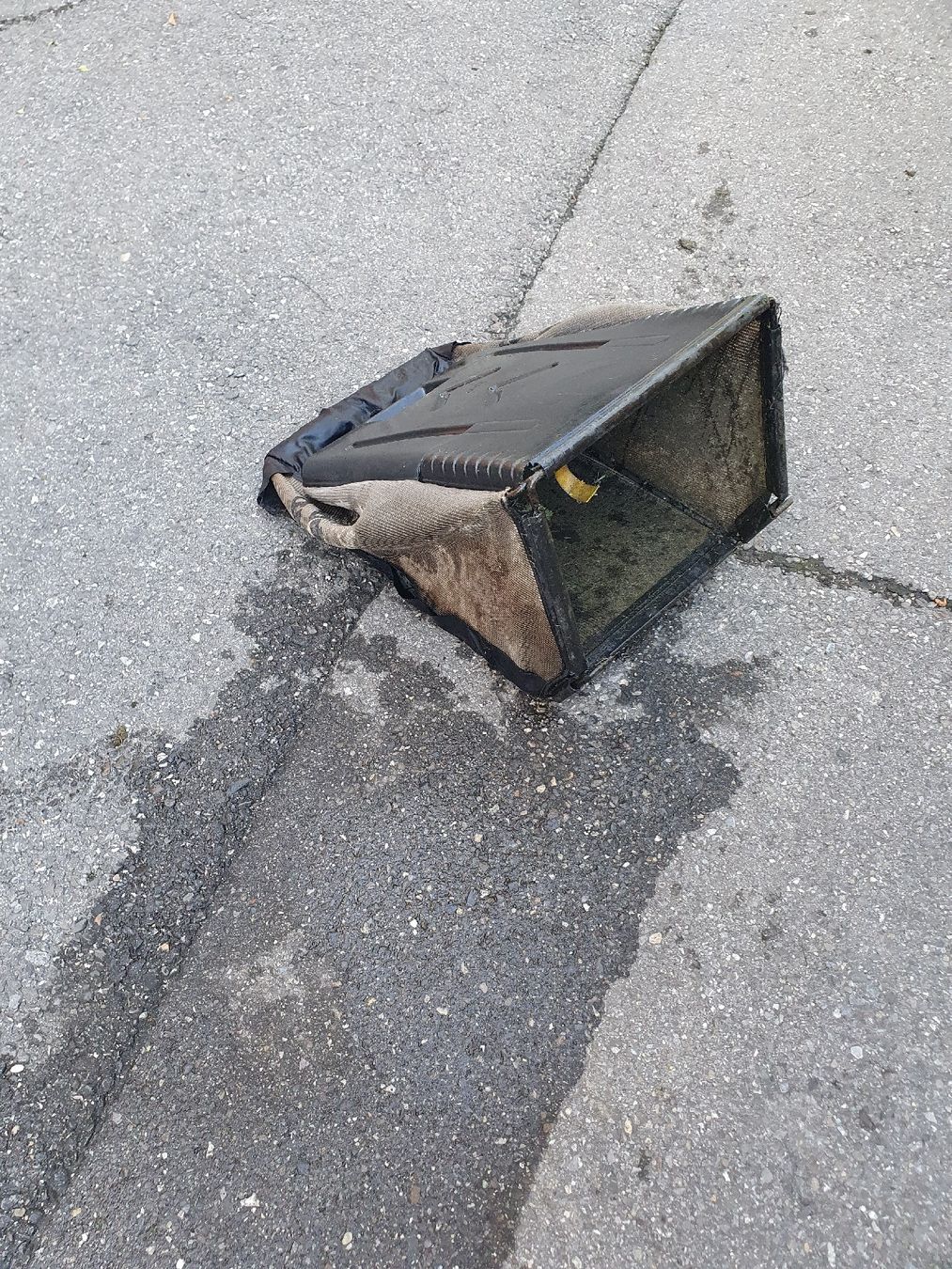 Honda Tondeuses à gazon: Honda Rasenmäher – D'occasion à Belp par Liacheyenne 4