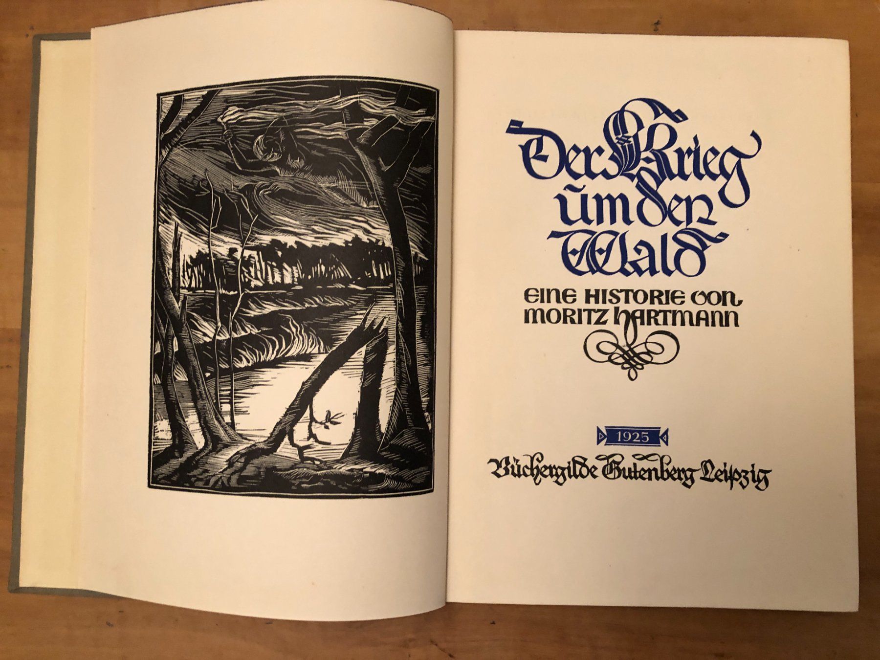 Libri: Moritz Hartmann: Der Krieg um den Wald – Usato da Zürich venduto da allp 1