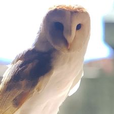 Profile image of nic_w5h8