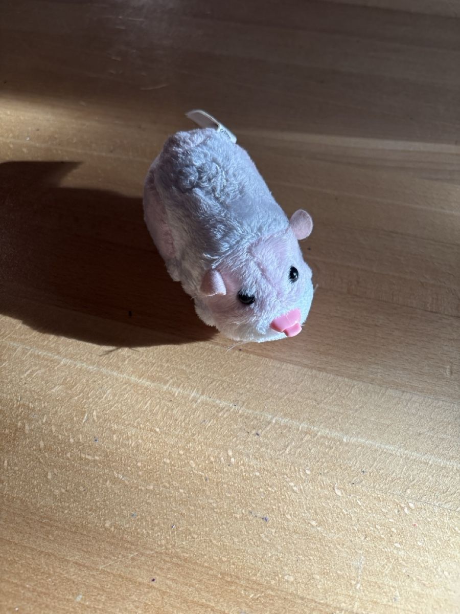 Giocattoli: Zhuzhu pet – Usato da Uvrier venduto da lou_dhk8