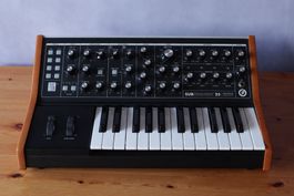 Moog Subsequent 25 (inkl. Tasche)