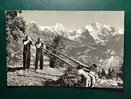 Alphornbläser im Berner Oberland
