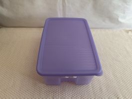 Tupperware - Récipient - boîte fraicheur 22 x 15 x 9