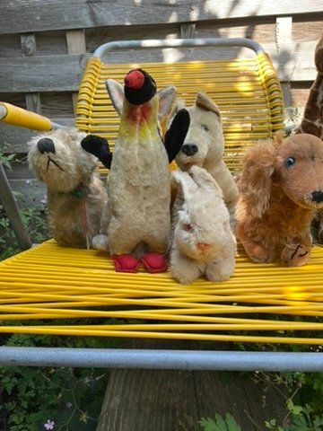 Spielzeuge: Kuscheltiere – Gebraucht aus Forch von ESELSTEIN 1